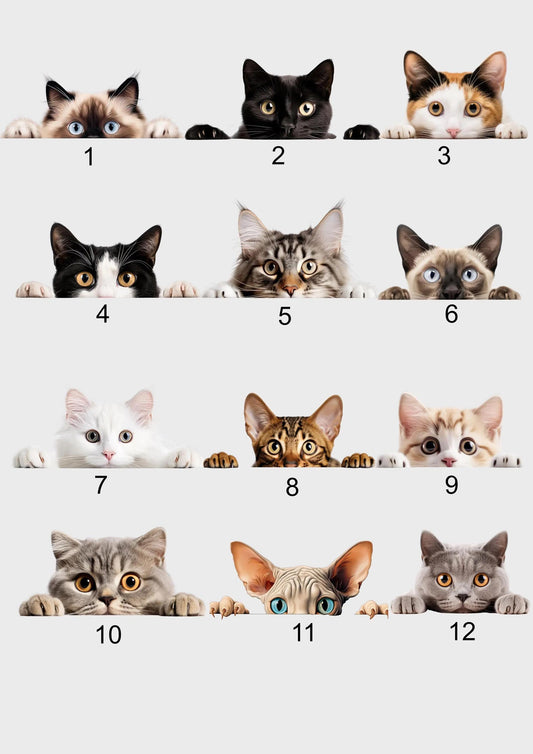 'Sorry I'm Late, I Saw a Cat' Notebook - A5 Spiral Bound, 60 Lined Pages