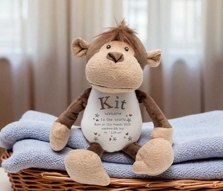 Personalised Plush New Baby Boy Teddy Gift
